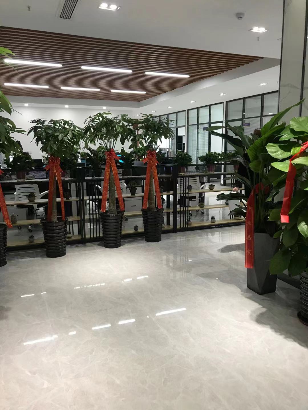 恭賀安徽全成建筑公司—金融港辦公室喬遷之喜！